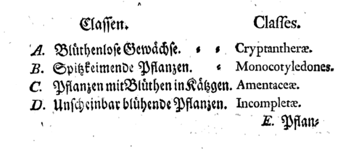 Abbildung eines Buchausschnitts, zeigt eine Aufzählung