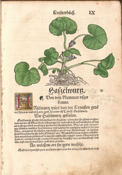 Abbildung eines Buchausschnitts, zeigt ein Bild über Text