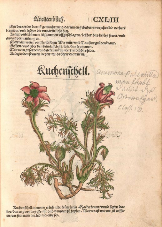 Abbildung eines Buchausschnitts, zeigt ein Bild unter Text