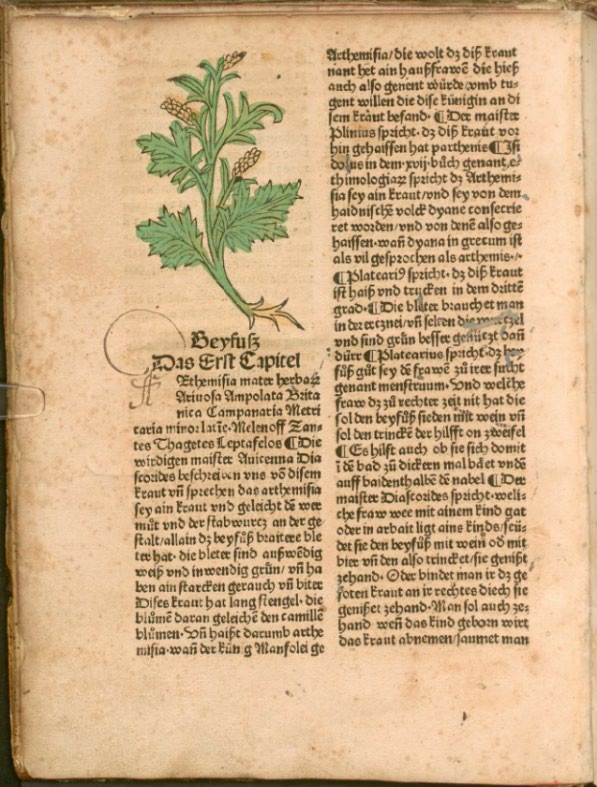 Abbildung eines Buchausschnittes, zeigt ein Bild über der linken Spalte eines zweispaltigen Textes