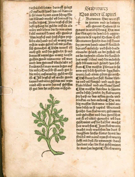 Abbildung eines Buchausschnittes, zeigt ein Bild unter der linken Spalte eines zweispaltigen Textes