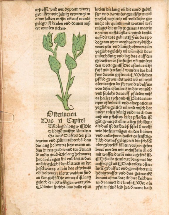 Abbildung eines Buchausschnittes, zeigt ein Bild zwischen Text in der linken Spalte eines zweispaltigen Textes