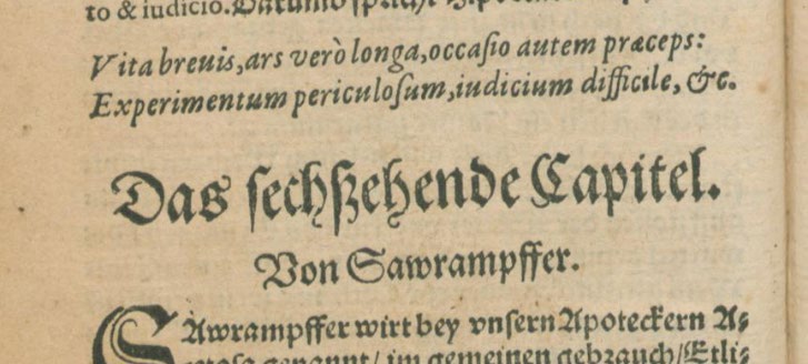 Abbildung eines Buchausschnitts, zeigt zwei Überschriften untereinander