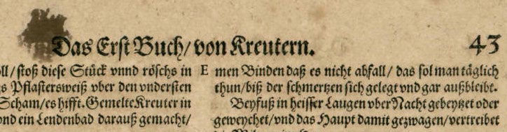 Abbildung eines Buchausschnitts, zeigt eine forlaufende Überschrift