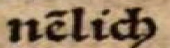 Abbildung eines Buchausschnitts, zeigt das Wort 'nẽlich' mit Nasalstrich über dem 'e'