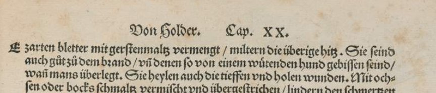 Abbildung eines Buchausschnitts, zeigt eine forlaufende Überschrift